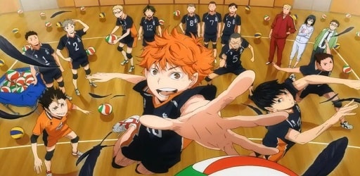 Haikyuu Fly High