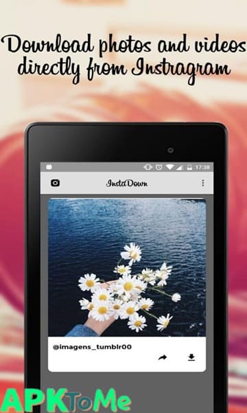 Instagram Down APK