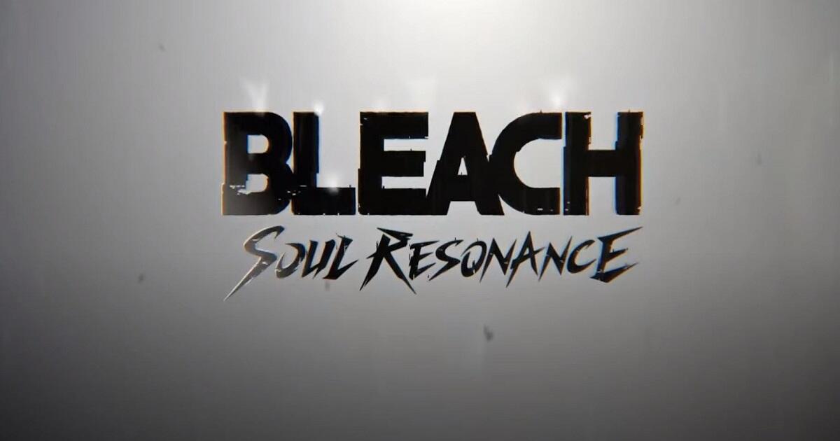 Bleach: Soul Resonance