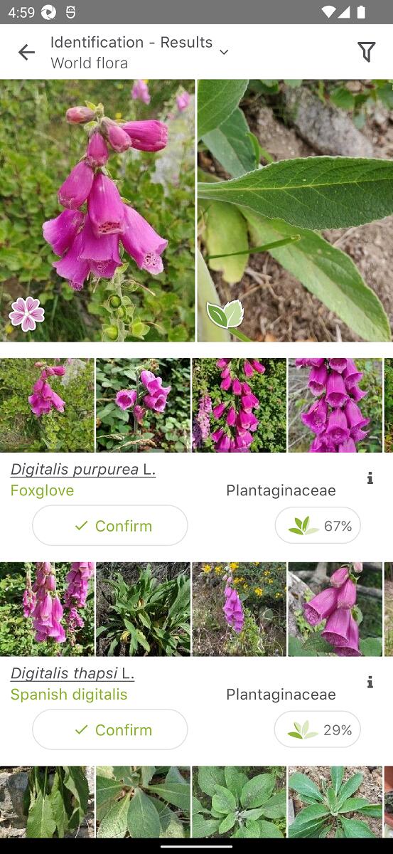PlantNet Plan Identification App