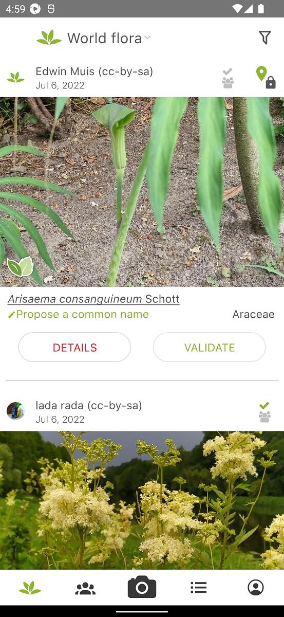 PlantNet app download for mobile